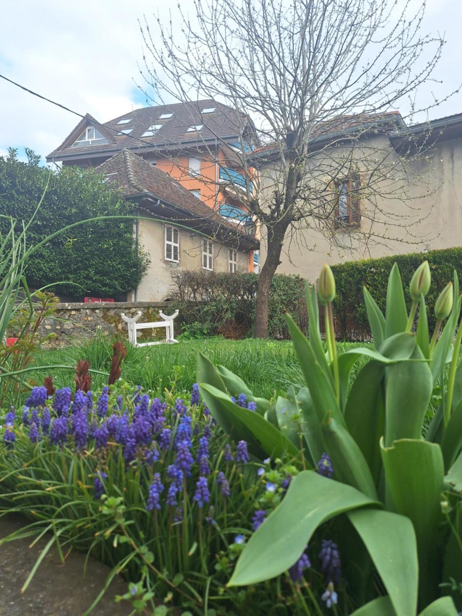 Ferienwohnung Chez Eric - L'Atypique Rumilly  Exterior foto